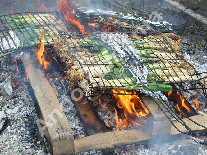 La Cal&ccedil;otada &agrave; Os de Civis